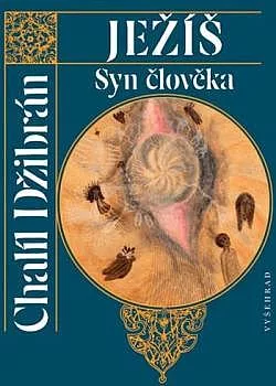 Ježíš, Syn člověka