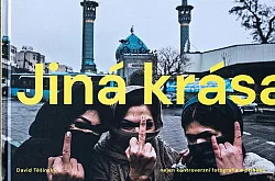 Jiná krása