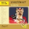 Jorkšírský teriér