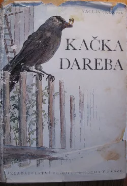 Kačka Dareba