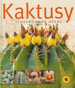 Kaktusy
