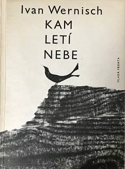 Kam letí nebe