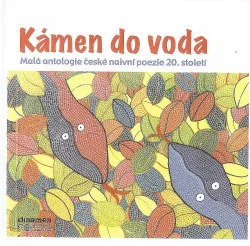 Kámen do voda