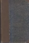 Karel Havlíček Borovský, Nejslavnější publicista českého národa