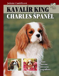 Kavalír King Charles španěl