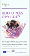 Kdo u nás opyluje?