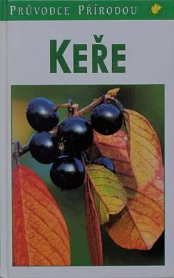 Keře