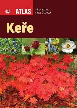 Keře