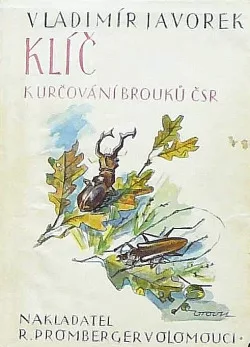 Klíč k určování brouků
