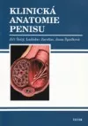 Klinická anatomie penisu