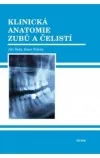 Klinická anatomie zubů a čelistí
