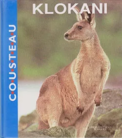Klokani