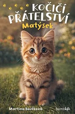 Kočičí přátelství: Matýsek