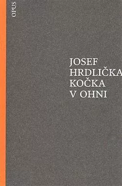 Kočka v ohni