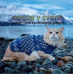 Kocour ve svetru