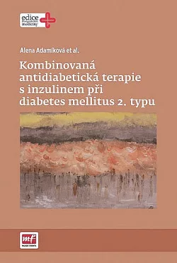 Kombinovaná antidiabetická terapie s inzulinem při diabetes mellitus 2. typu