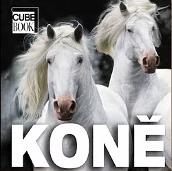 Koně