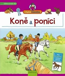 Koně a poníci