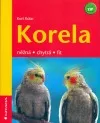 Korela - něžná, chytrá, fit