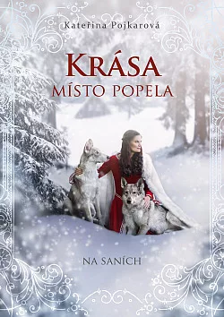 Na saních