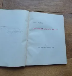 Krásami našich krajů I.
