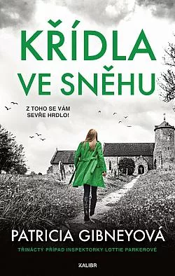 Křídla ve sněhu