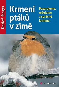 Krmení ptáků v zimě