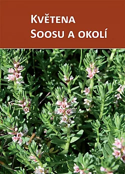 Květena Soosu a okolí
