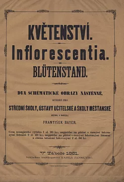 Květenství