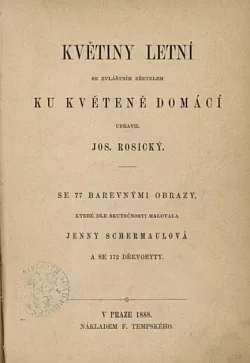 Květiny  letní se zvláštním zřetelem ku květeně domácí
