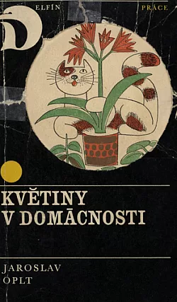 Květiny v domácnosti
