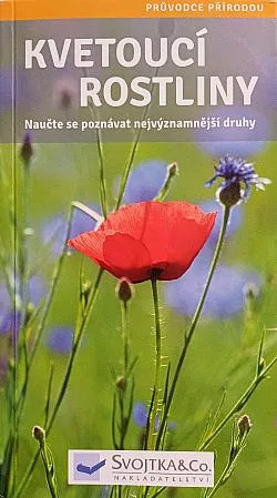 Kvetoucí rostliny
