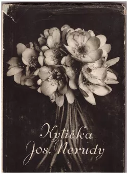 Kytička Josefa Nerudy