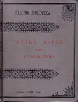 Kytky aster