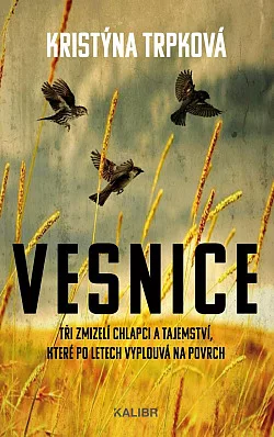 Vesnice
