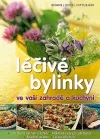 Léčivé bylinky ve vaší zahradě a kuchyni