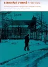 Ledování v Brně: příběh zaniklého oboru na podkladě historie jundrovských ledáren
