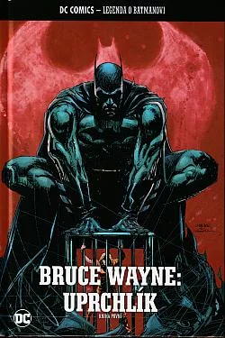 Bruce Wayne: Uprchlík. Kniha první