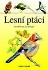 Lesní ptáci