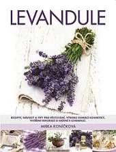Levandule - Recepty, návody a tipy pro pěstování, výrobu