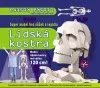 Lidská kostra - super model bez nůžek a lepidla