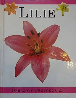Lilie