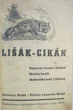 Lišák - Cikán / Medvědice Brumka a její syn