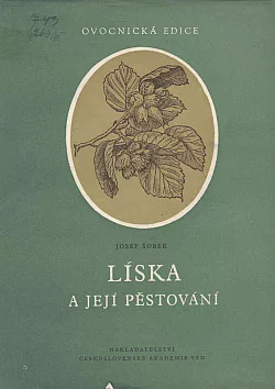 Líska a její pěstování