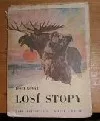 Losí stopy