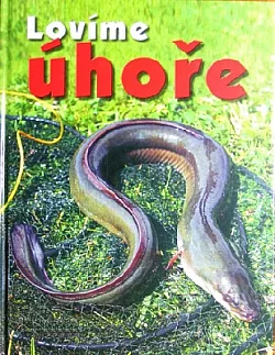 Lovíme úhoře