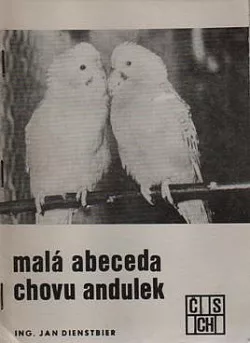 Malá abeceda chovu andulek