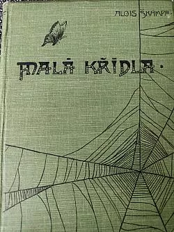 Malá křídla