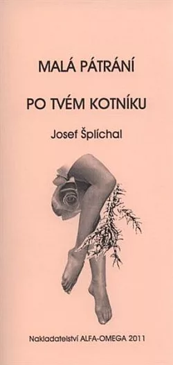 Malá pátrání po tvém kotníku