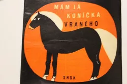 Mám já koníčka vraného